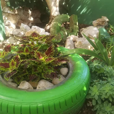 Zvonimir Apartamento Hvar Town