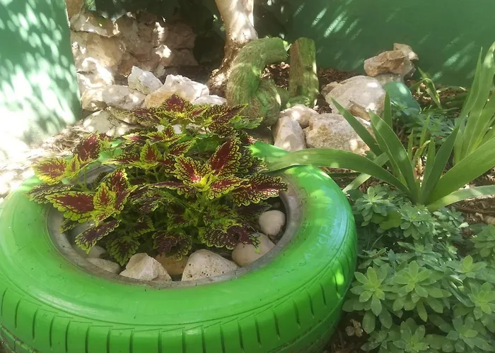 Zvonimir 公寓 赫瓦尔