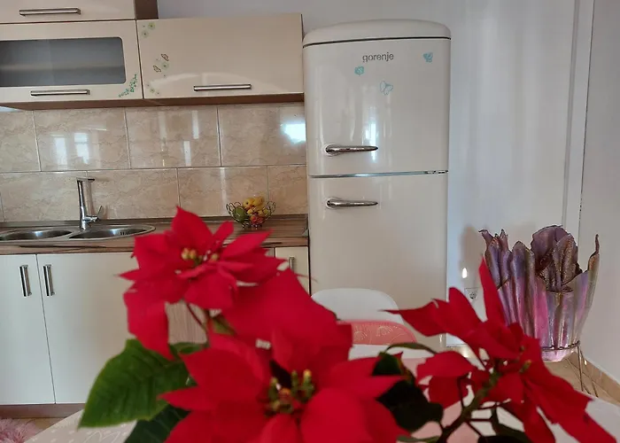 Apartamento Zvonimir *