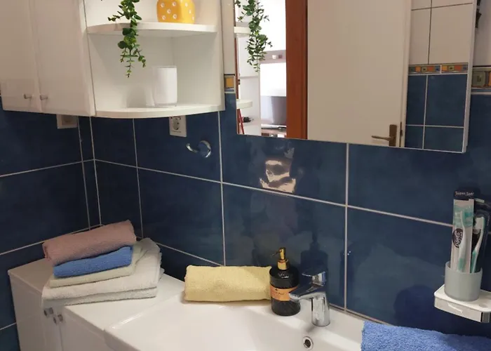 Zvonimir * 赫瓦尔